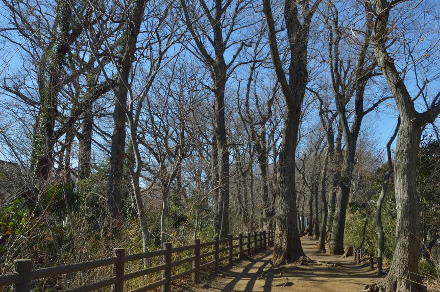 小平市 やばい