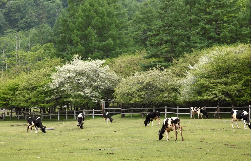 江東区 やばい