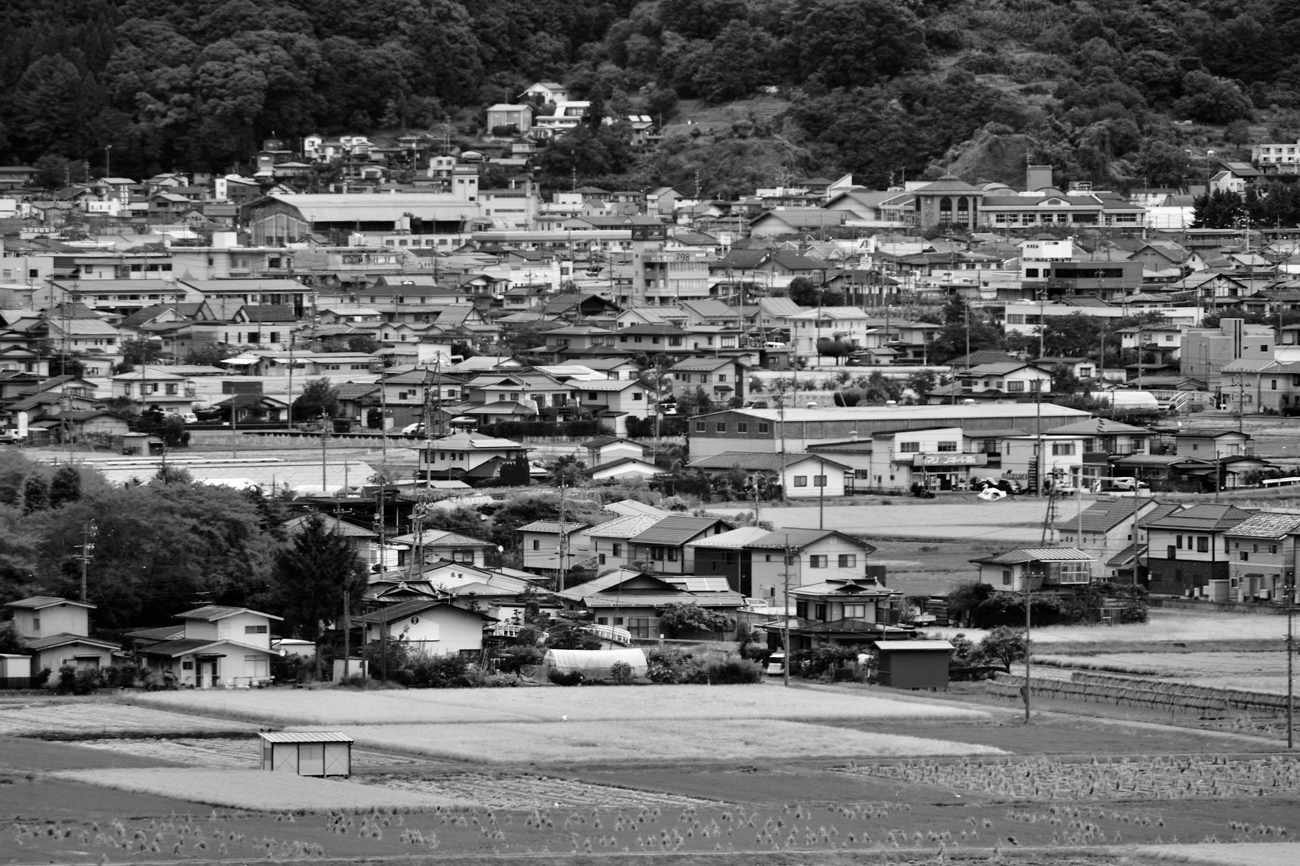 平井は本当に住みたくない街なのか