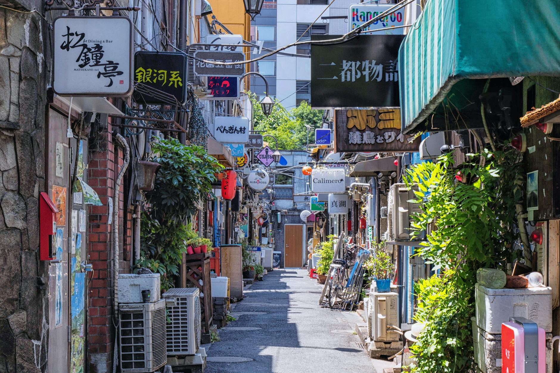 高円寺はやばいと言われる理由とは